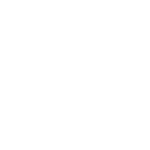 Hand Shake Icon