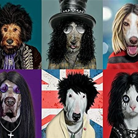 Pets Rock (550 pieces)