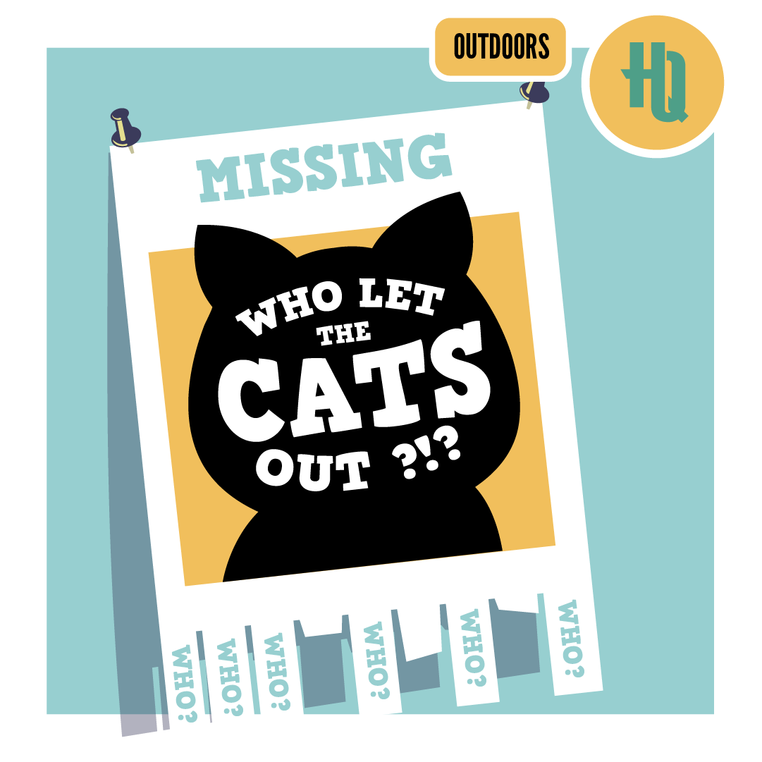 Gift Card: Who Let The Cats Out