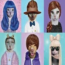 Pets Rock (550 pieces)